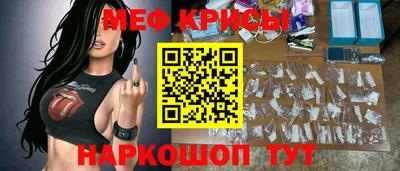 СК Заводоуковск