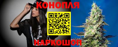 индика Жуковский