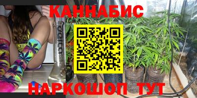индика Жуковский