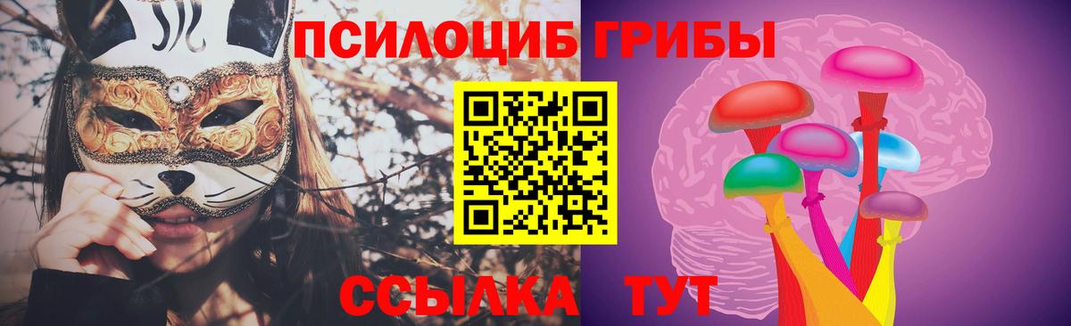Псилоцибиновые грибы MAGIC MUSHROOMS  Вход с VPN  Галлюциногенные грибы ЛСД  Дюртюли 